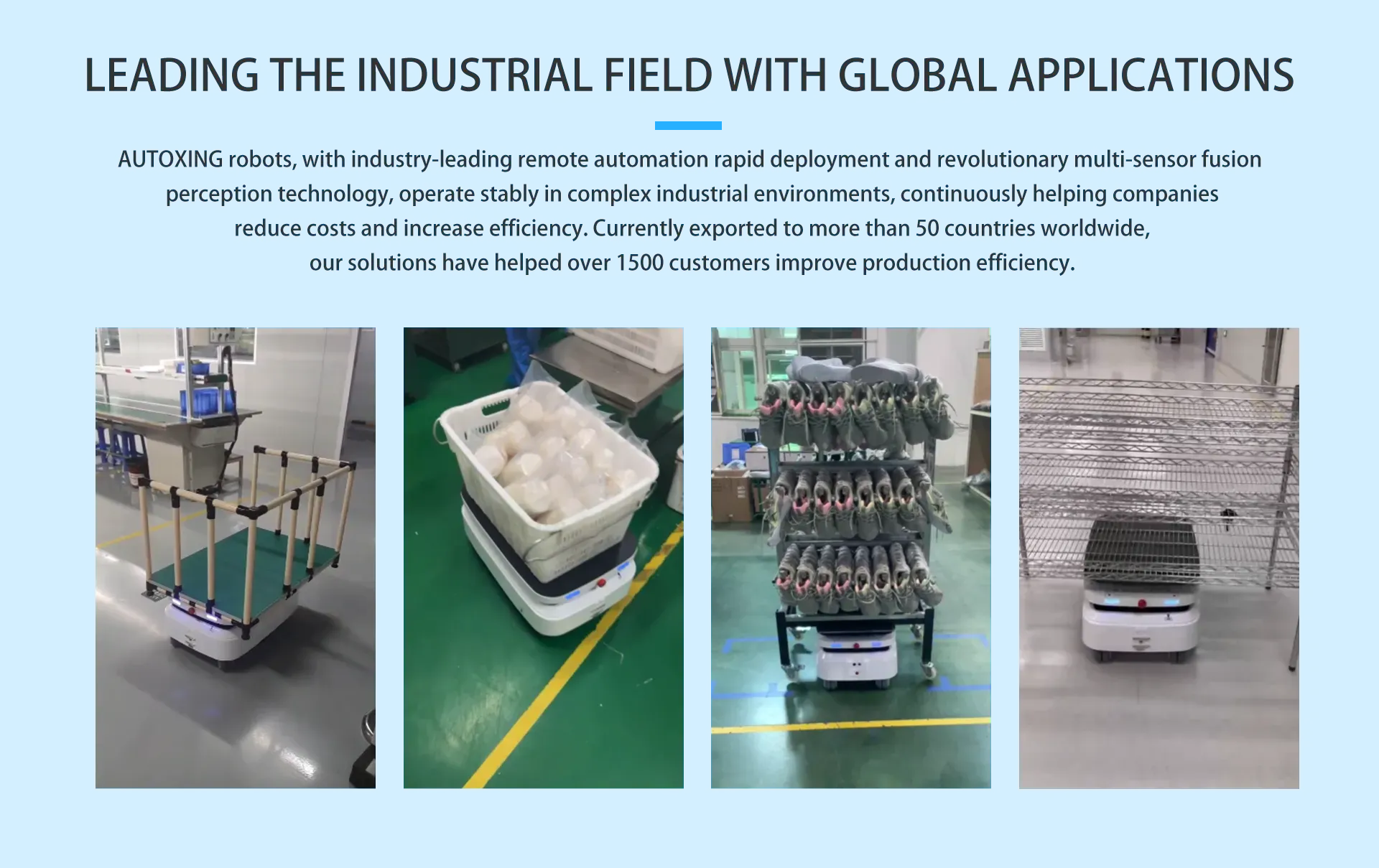 AUTOXING Sub Lift Robot